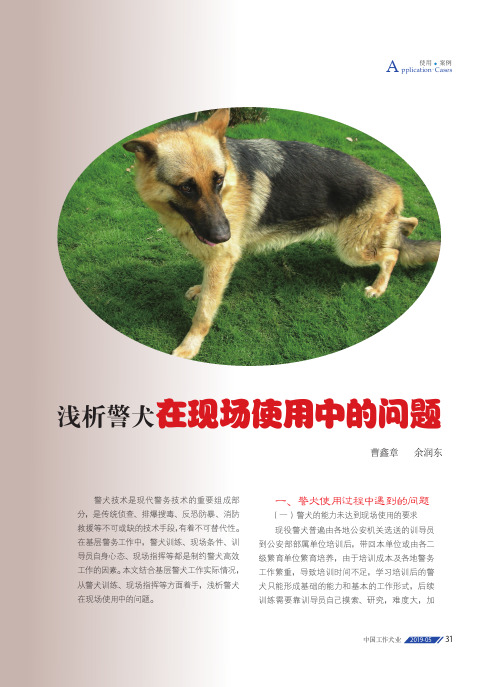 浅析警犬在现场使用中的问题