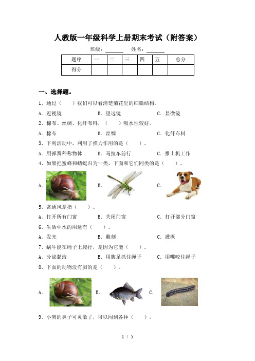 人教版一年级科学上册期末考试(附答案)