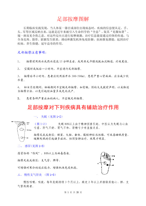 足部反射区——精选推荐