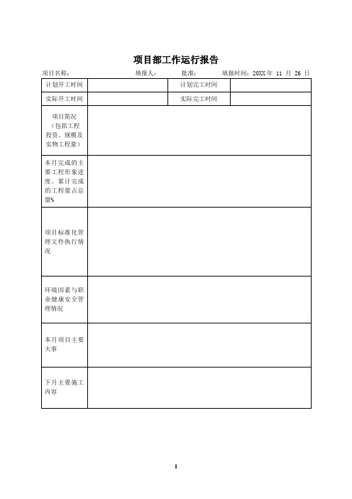 监理项目部工作运行报告