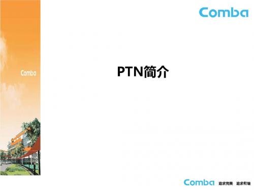 PTN简介