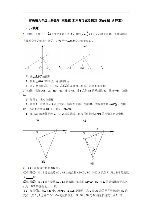 苏教版八年级上册数学 压轴题 期末复习试卷练习(Word版 含答案)