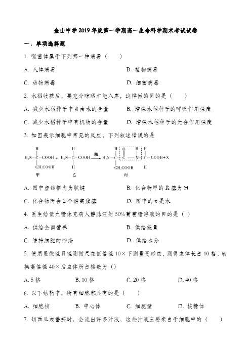 高一生物上学期期末检测题 (42)