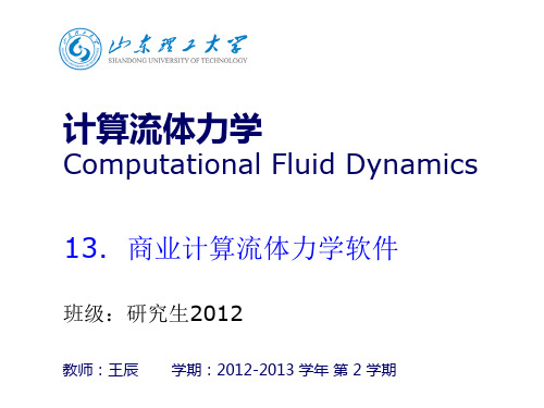 ansys  fluent  软件学习(PPT文档)