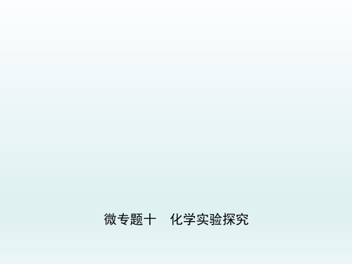 浙教版九年级中考复习科学课件：微专题十 化学实验探究(共67张PPT)