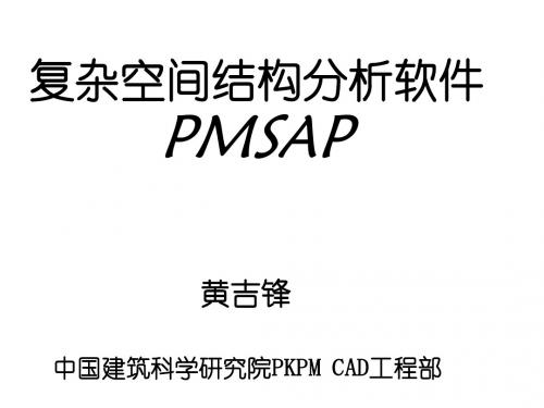 PMSAP总体介绍-PPT精选文档