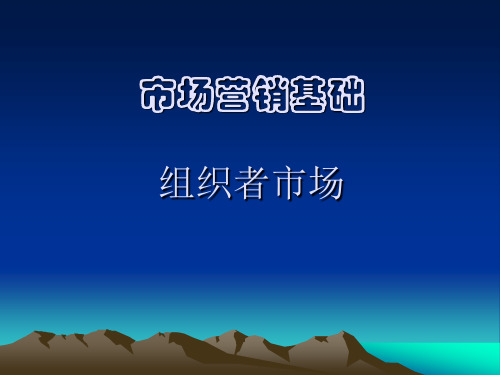 市场营销第三章组织者市场