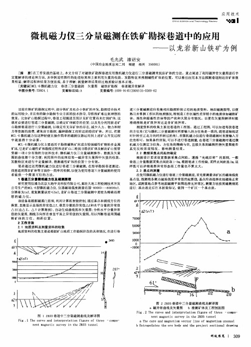 微机磁力仪三分量磁测在铁矿勘探巷道中的应用——以龙岩新山铁矿为例