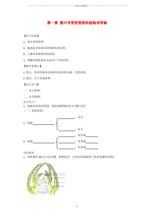 八年级生物上册 芽的类型和结构名师精编学案(无答案) 济南版