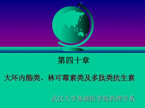 药理学-大环内酯类、林可霉素类及多肽类抗生素