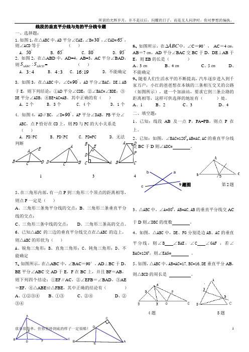 线段的垂直平分线与角的平分线训练专题培优(新)