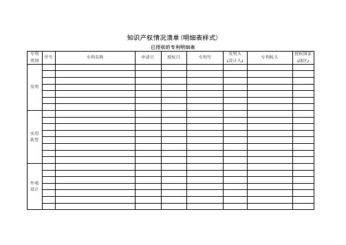 知识产权情况清单(明细表样式)