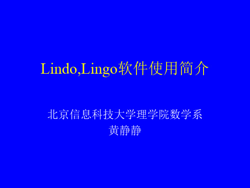 lingo使用教程解析