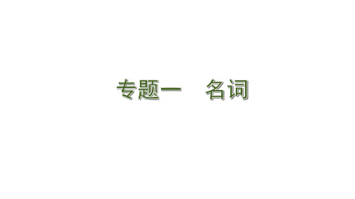 2020版中考英语(人教版)新培优大二轮语法专题复习河北专用:1. 专题一 名词