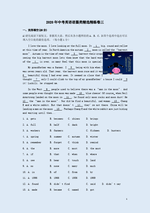 2020年中考英语语篇类精选精练卷三附答案解析