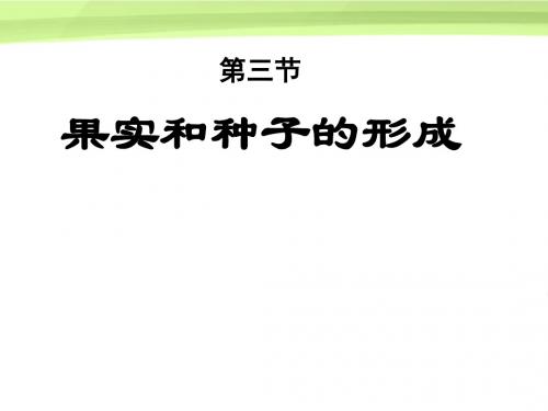 八年级生物上册-果实和种子的形成