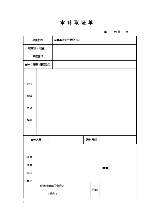 审计取证单(最新模板)