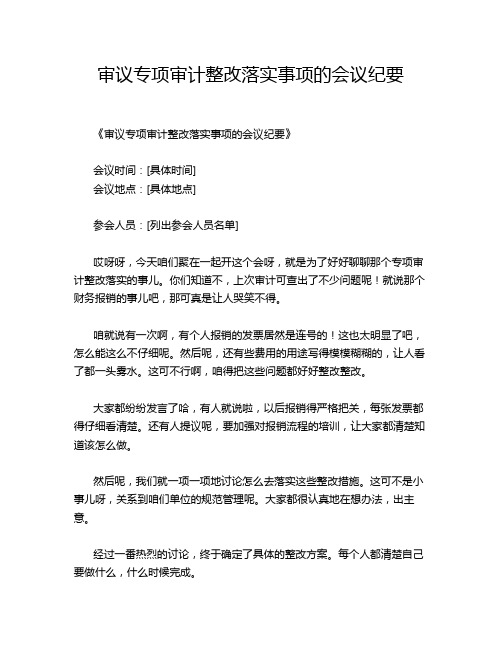 审议专项审计整改落实事项的会议纪要