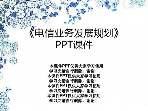 《电信业务发展规划》PPT课件