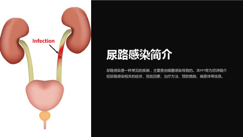 《尿路感染简介》课件