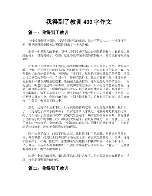 我得到了教训400字作文