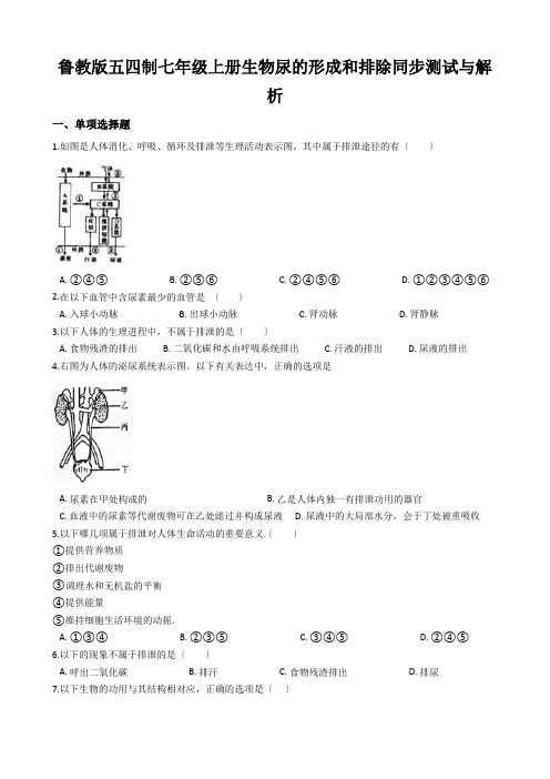 鲁教版五四制七年级上册生物尿的形成和排除同步测试与解析