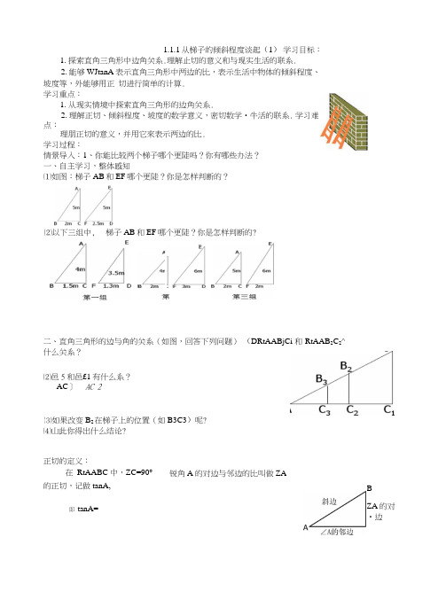 《直角三角形的边角关系》导学案(定稿).doc