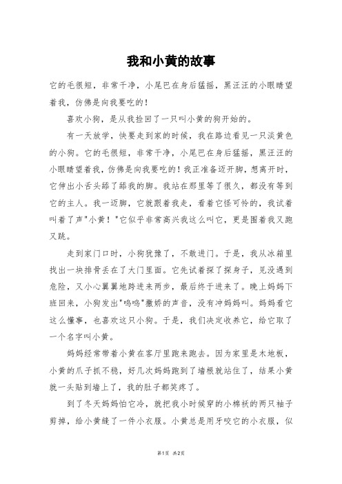 我和小黄的故事_五年级作文