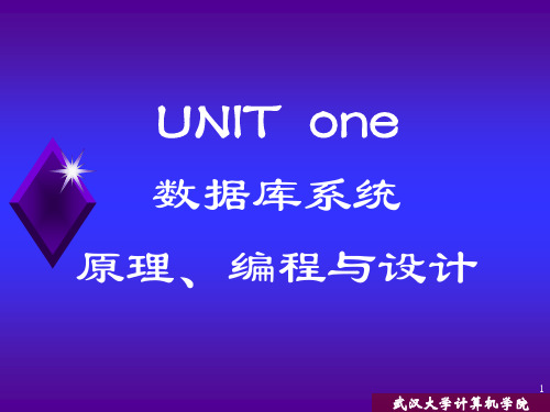 武汉大学《高级数据库技术》课件第1章 数据库系统原理编程与设计