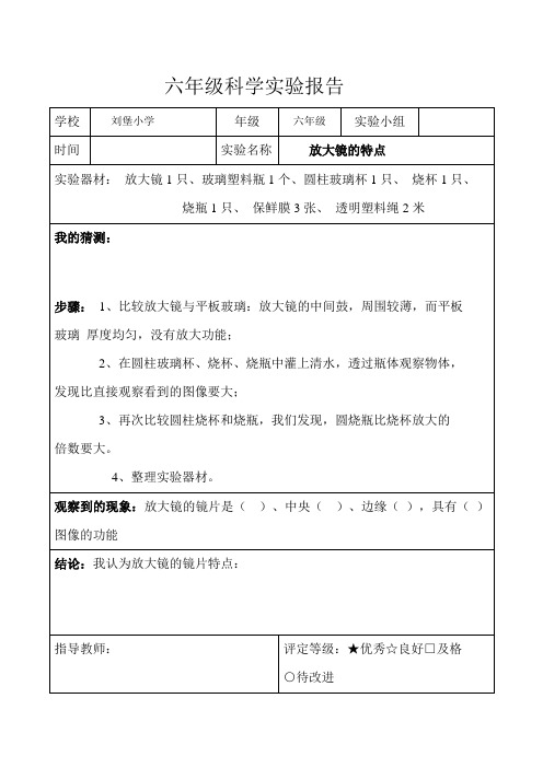 教科版六年级科学下册实验报告单(全)