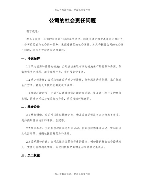 公司的社会责任问题