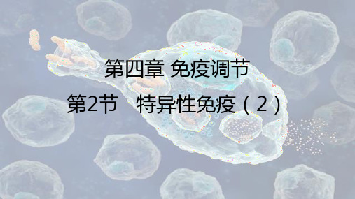 细胞免疫课件高二上学期生物人教版选择性必修1