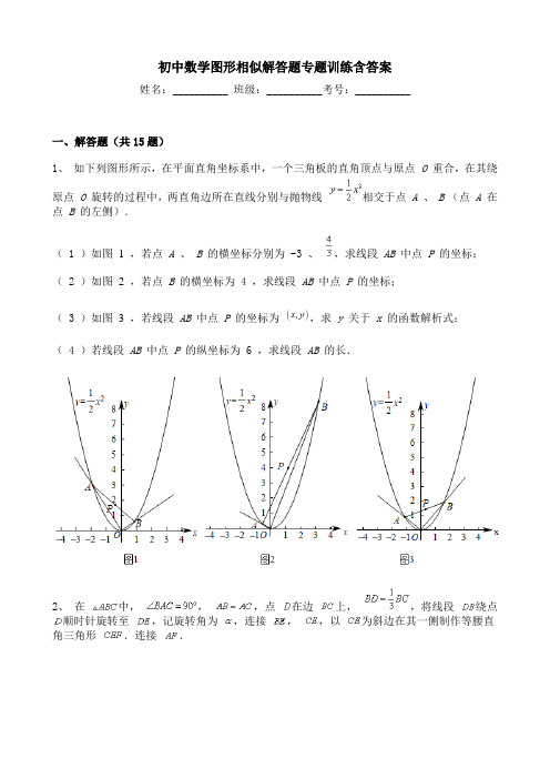 初中数学图形相似解答题专题训练含答案