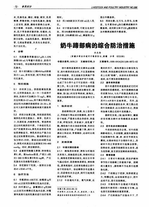 奶牛蹄部病的综合防治措施