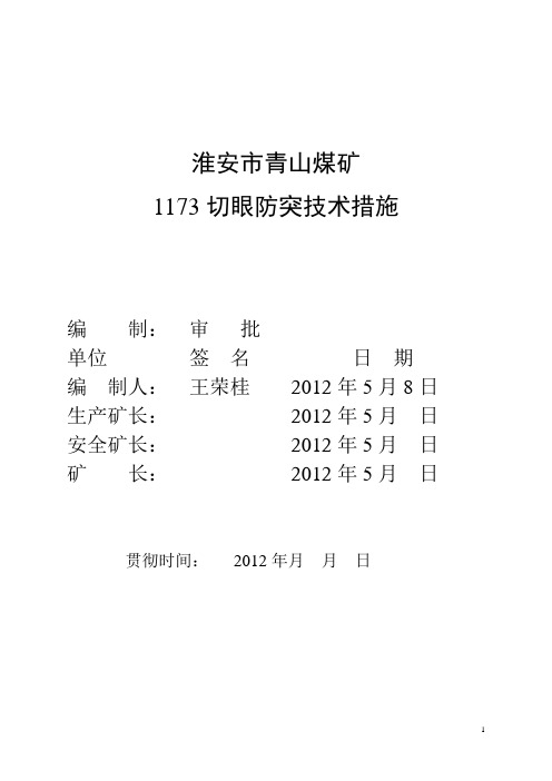 1173切眼防治煤层突出措施