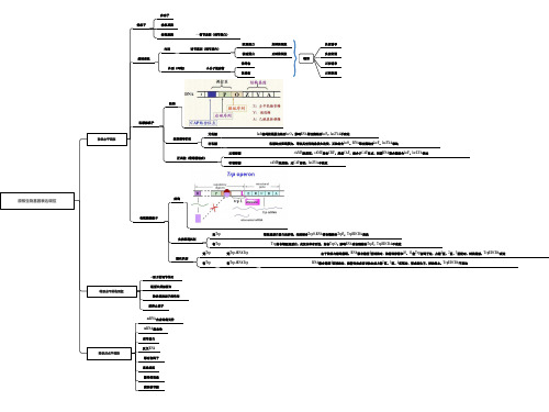 分子生物学(朱玉贤第四版)复习提纲思维导图 7.原核生物基因表达调控