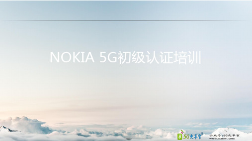 5G初级培训教材NOKIA