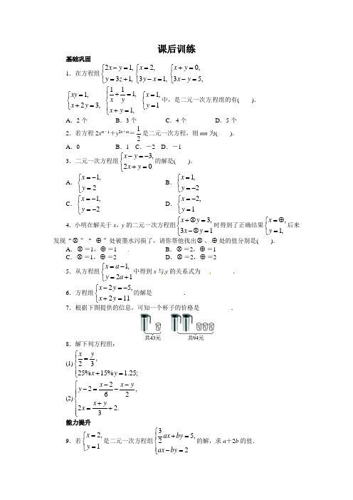 沪科版数学七年级上册3.3 二元一次方程组及其解法  练习1