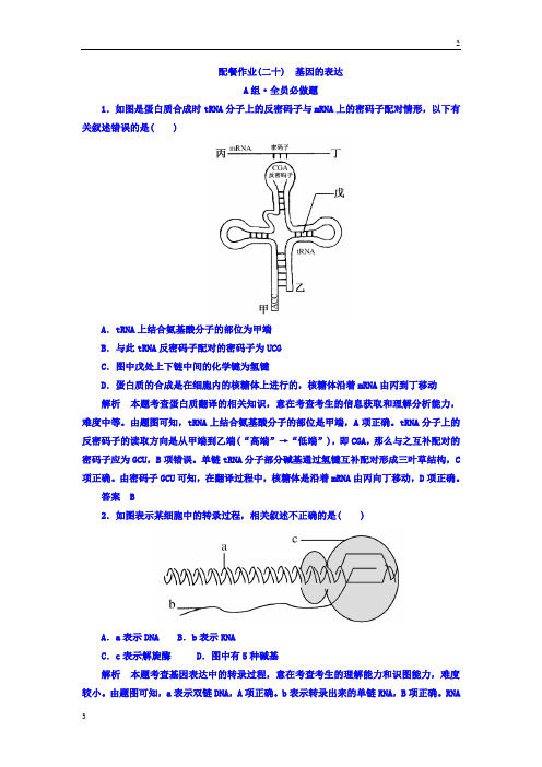 全国通用2019版高考生物大一轮复习配餐作业20 Word版含答案