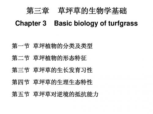 内蒙古农业大学-3.草坪学讲稿(草坪草的生物学基础)