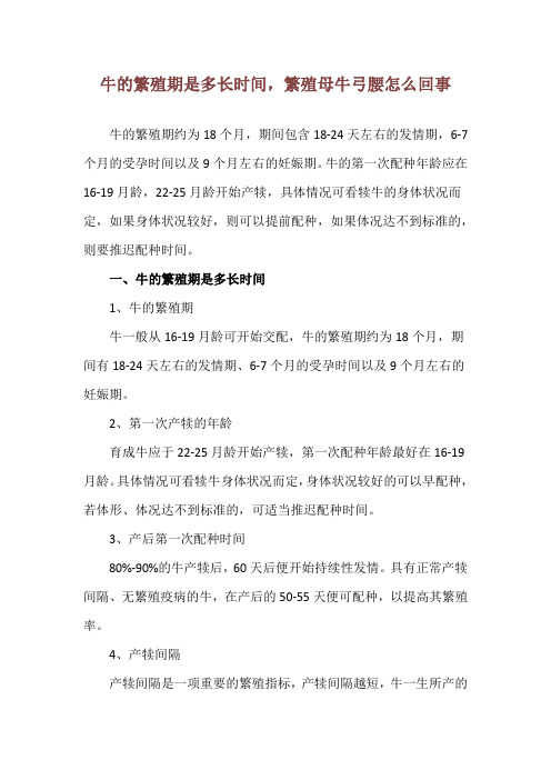 牛的繁殖期是多长时间,繁殖母牛弓腰怎么回事