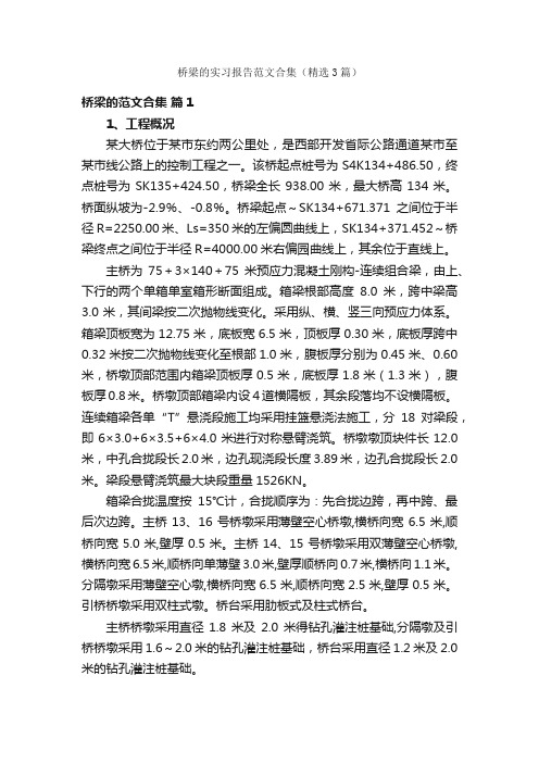 桥梁的实习报告范文合集（精选3篇）