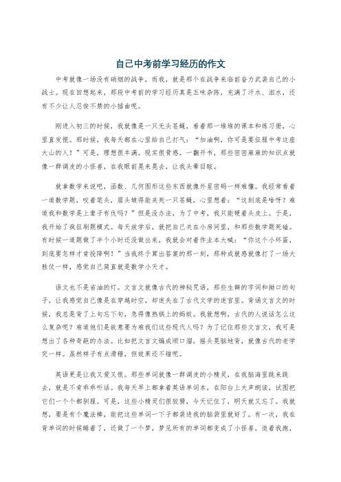 自己中考前学习经历的作文