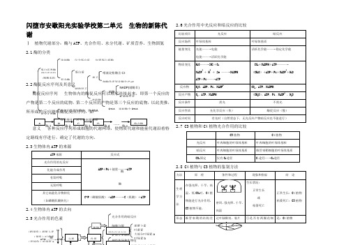 高考生物总复习知识点总结 第二单元 生物的陈代谢