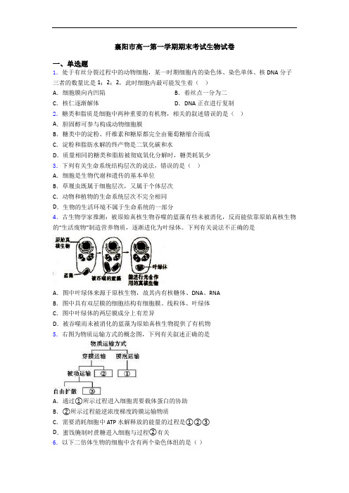 襄阳市高一第一学期期末考试生物试卷