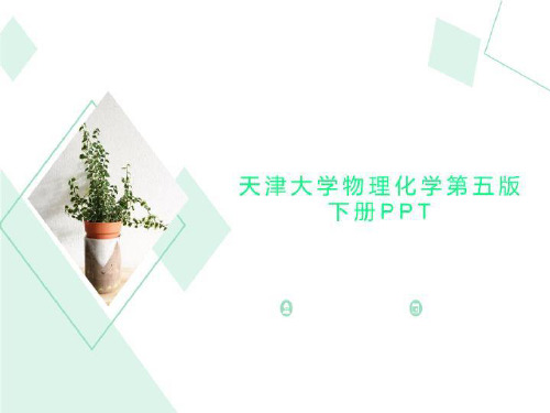 天津大学物理化学第五版下册PPT