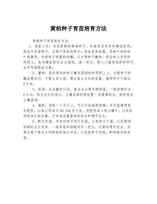 黄柏种子育苗培育方法