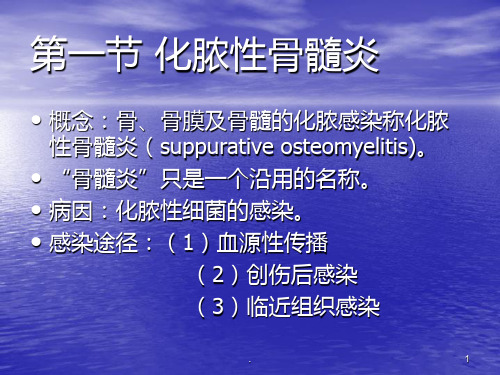 骨与关节的化脓性感染课件ppt课件