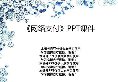 《网络支付》PPT课件