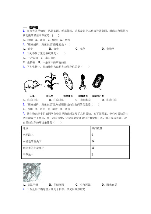 邢台市重点中学市联考2019年七上生物期末模拟学业水平测试试题之二